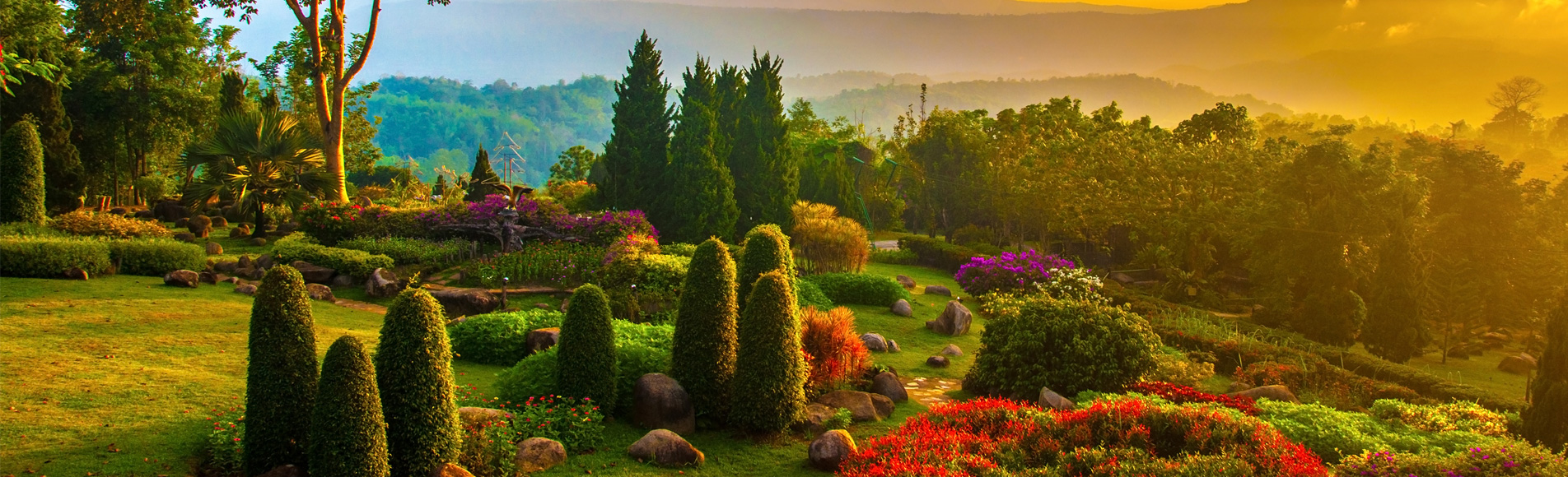 lorem ipsum dolor sit