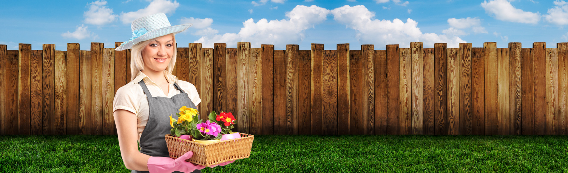 lorem ipsum dolor sit